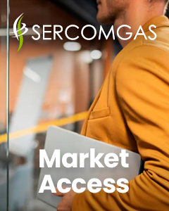 European Market Access Gas and Power